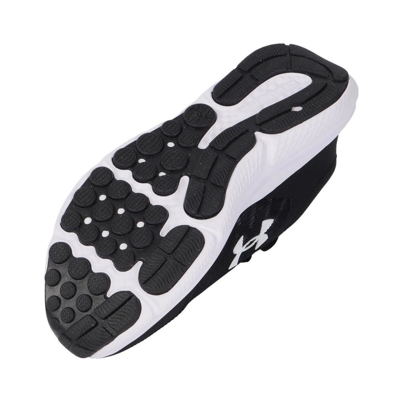 Under Armour Löparskor Charged Assert 10